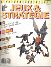 jeuxetstrategie45.jpg